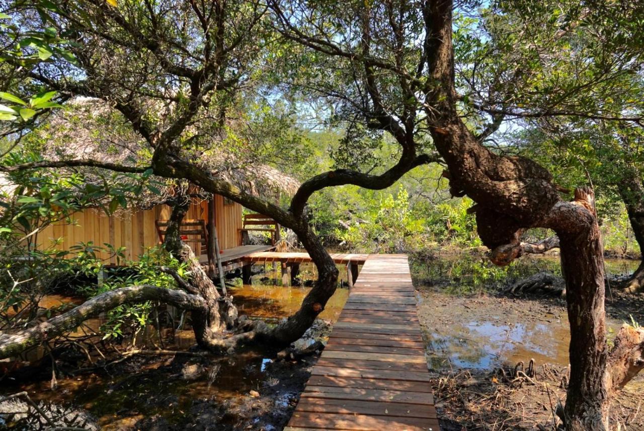 Lily'S Riverhouse Prek Svay Village Bagian luar foto