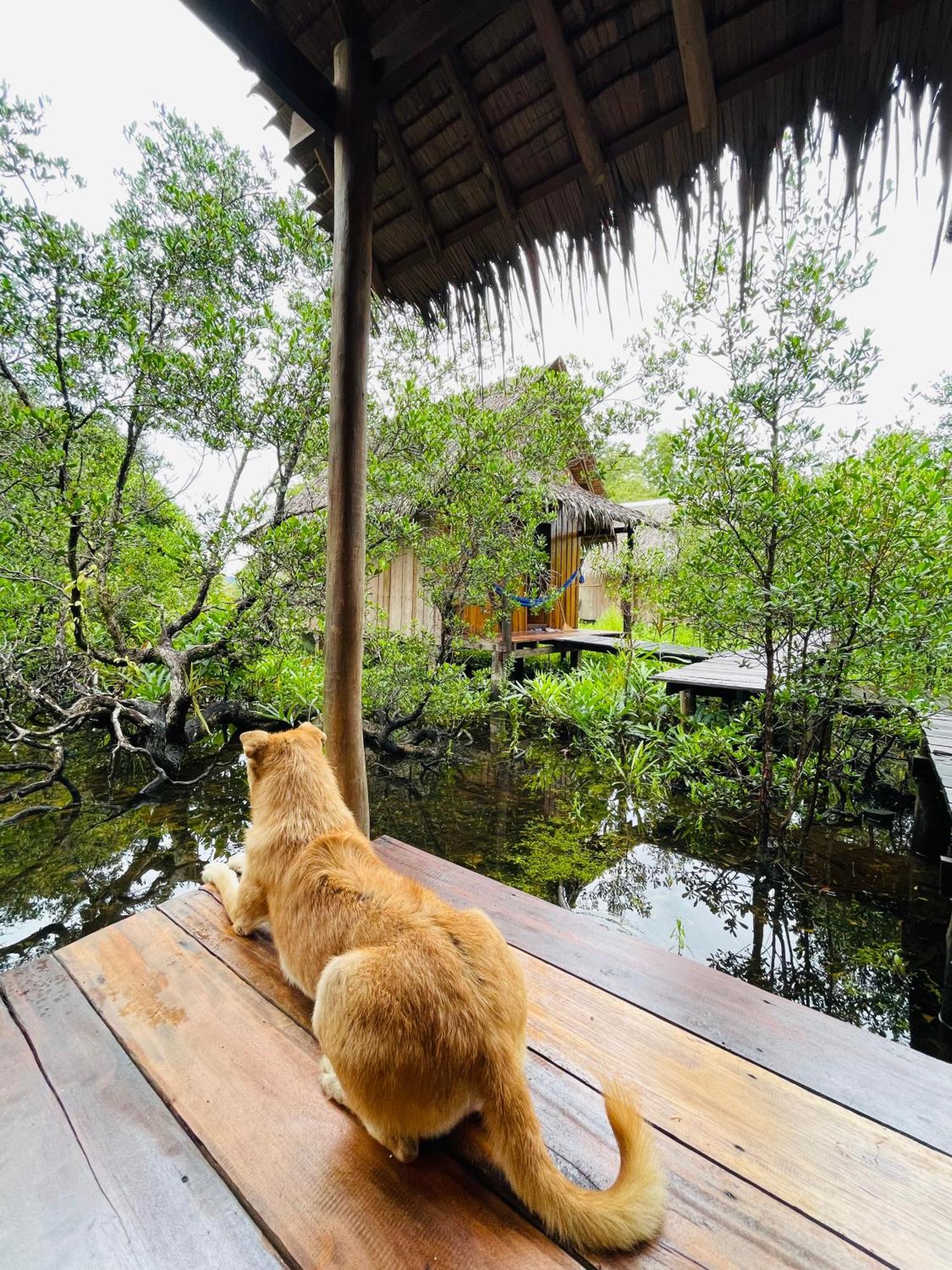 Lily'S Riverhouse Prek Svay Village Bagian luar foto