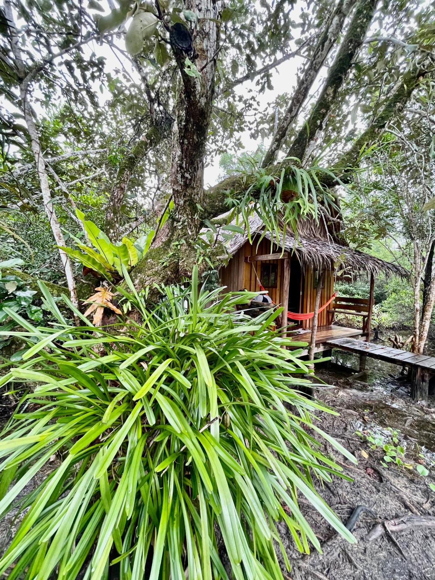Lily'S Riverhouse Prek Svay Village Bagian luar foto